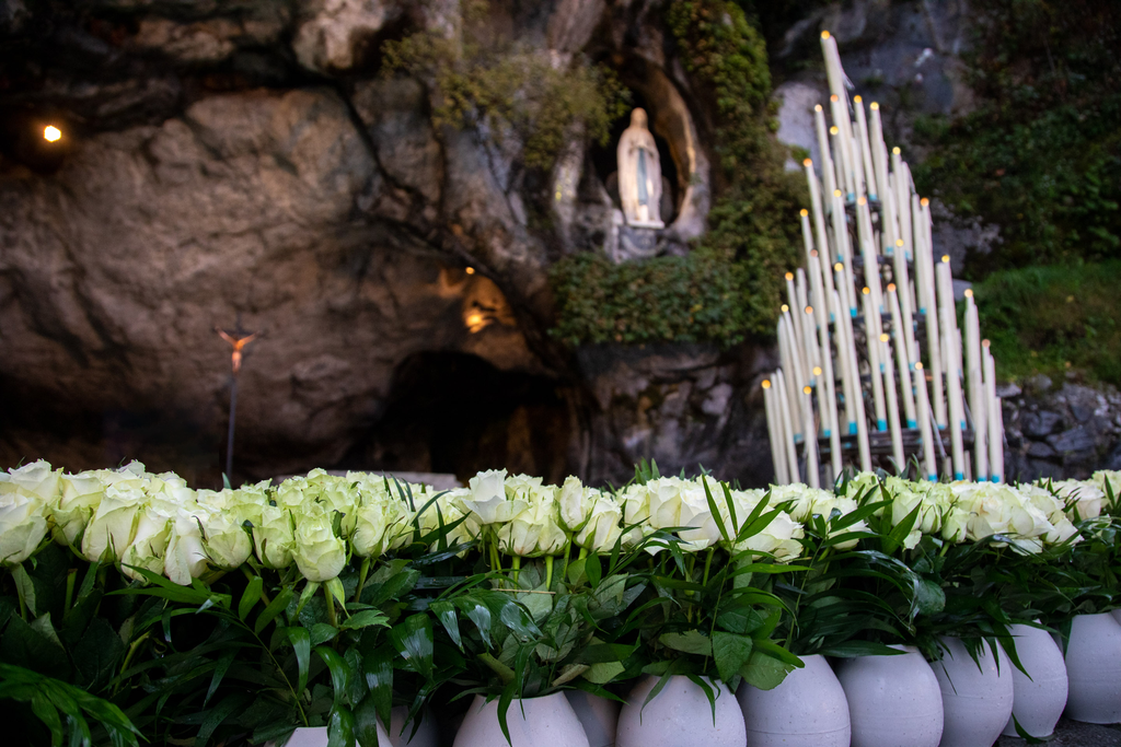 Offer a rose to Our Lady of Lourdes